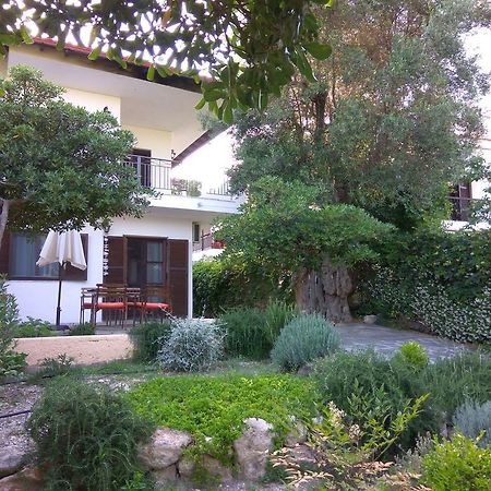Neria Summer Houses Chaniotis Dış mekan fotoğraf