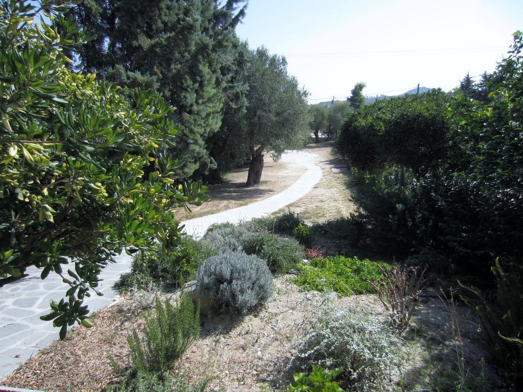 Neria Summer Houses Chaniotis Dış mekan fotoğraf
